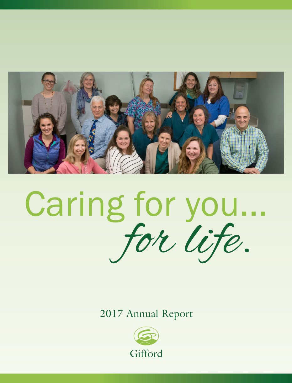 thumbnail of Gifford Annual Report 2017